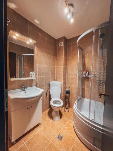 a bathroom with a toilet and a sink and a shower at Sebiana in Buşteni