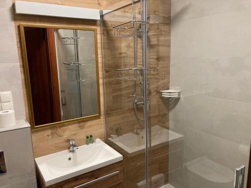 a bathroom with a sink and a shower at Leśna Polana in Radawa