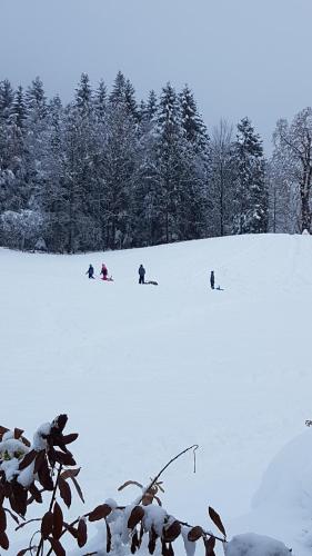 a group of people skiing down a snow covered slope at Ferienhaus Sonnenstrahl in Gmünd in Kärnten
