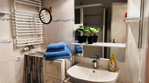 Koupelna v ubytování Auszeit mit Sauna und Pool
