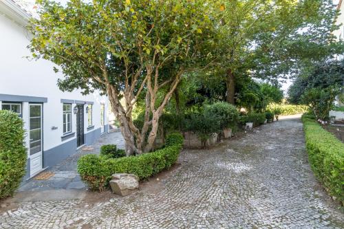 a tree on a sidewalk next to a house at Casa Fundeira - Quinta dos Esconhais in Castanheira de Pêra