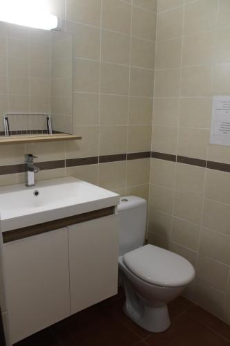 ein Badezimmer mit einem weißen WC und einem Waschbecken in der Unterkunft Mas des Oliviers in Saint-Estève