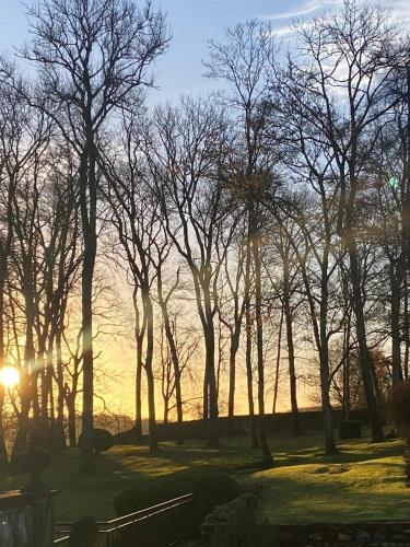 a group of trees in a park at sunset at La chambre des vignerons in Montreuil-aux-Lions