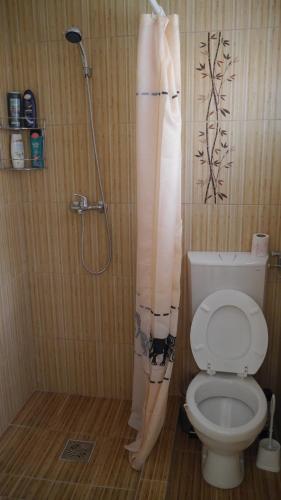 La salle de bains est pourvue d'un rideau de douche et de toilettes. dans l'établissement Fenyves-lak, à Szalkszentmárton