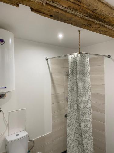 ein Bad mit einem Duschvorhang und einem WC in der Unterkunft Pumpura apartment in Liepāja