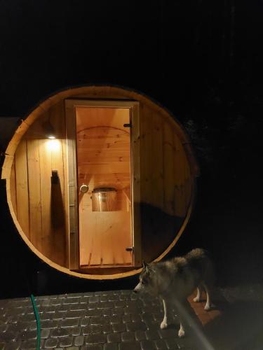 Fotografie z fotogalerie ubytování Domek Julia z banią ruską i sauną v destinaci Sulęczyno