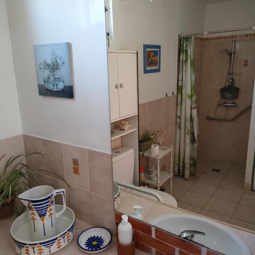 une salle de bain avec une baignoire, des toilettes et un lavabo dans l'établissement Petite maison au bord du canal, 8' Zoo de Beauval, PMR, à Noyers-sur-Cher