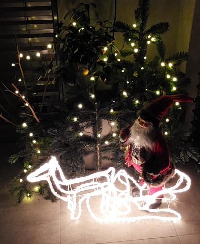 a santa claus sitting in front of a christmas tree at Marlingsuites - Vinea - Wieser Josef - Marling in Marlengo