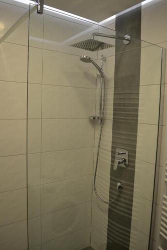 een badkamer met een douche en een glazen deur bij Andys Bergjuwel in Leutasch