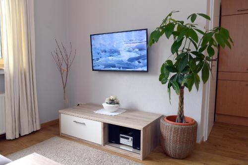 ein Wohnzimmer mit einer Topfpflanze und einem TV in der Unterkunft Ferienwohnung Wagner 4 Sterne in Neef