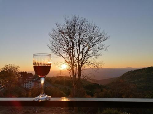 a glass of wine sitting on a ledge with the sunset at Ivkovic spa Milmari N16 in Kopaonik