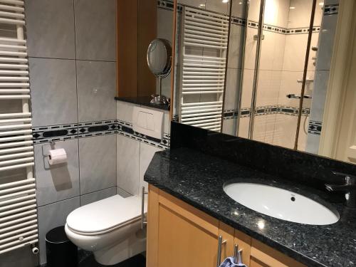 a bathroom with a toilet and a sink and a mirror at Vakantiehuis Martien in Peer