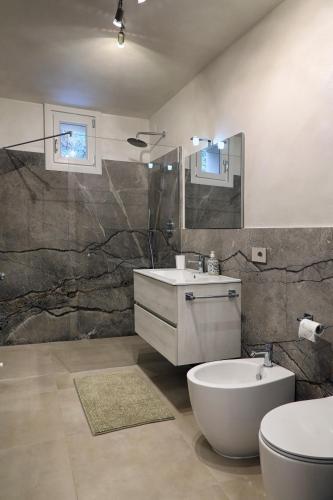 a bathroom with a sink and a toilet and a mirror at BELVEDERE CERIEL in Cavaion Veronese