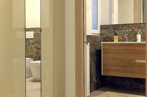 a bathroom with a sink and a toilet at BELVEDERE CERIEL in Cavaion Veronese