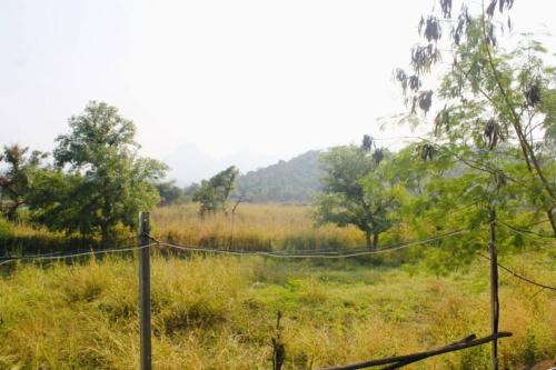 Naturlandschaft in der Nähe der Villa