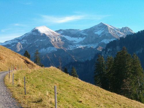 a road on a hill with a snow covered mountain at WHITE HOME IN AESCHI BEI SPIEZ in Aeschi bei Spiez