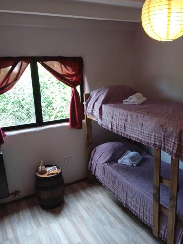 a bedroom with two bunk beds and a window at Zonda hostel cultural in Lago Puelo