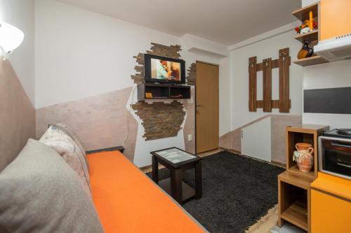 un soggiorno con un divano e una TV su una parete di Apartmani Jokic a Zlatibor