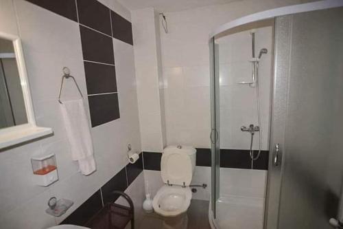 un bagno con wc e doccia in vetro di Apartmani Jokic a Zlatibor