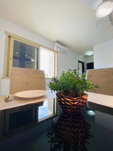 a room with a table with a potted plant at Apartamento Canabarro Residence in Uruguaiana