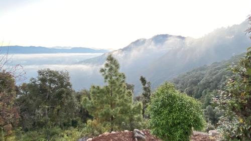 a view of a valley in the mountains at Ananta Prana in Mussoorie