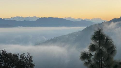 a palm tree in front of a fog covered mountain at Ananta Prana in Mussoorie