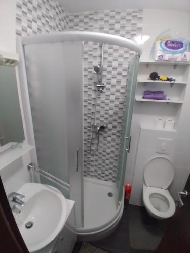 a bathroom with a shower and a toilet and a sink at Apartment NM Bjelašnica in Bjelašnica