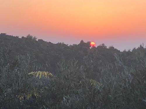 a sunset over a hill with the sun in the background at Above the Sea in ‘En Hod