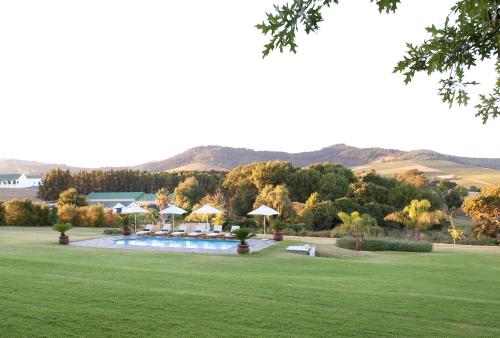 a swimming pool with chairs and umbrellas on a lawn at Cultivar Boutique Hotel in Stellenbosch