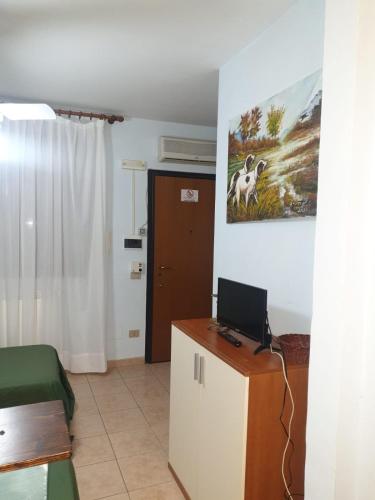 Anthurium Albergo – Photos 5