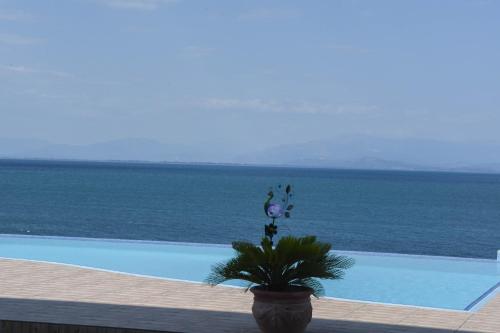 a potted plant next to a swimming pool next to the ocean at Iris Villas in Spárton