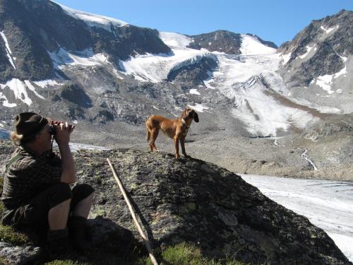 a person taking a picture of a dog on a mountain at Haus Puit Mandarfen Pitztal in Sankt Leonhard im Pitztal