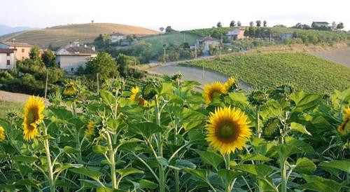 Guesthouse Casale Borgo Miriam – Photos 3