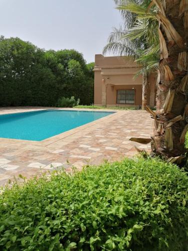 a swimming pool next to a house with a palm tree at Dar LALA NEJMA in Marrakesh