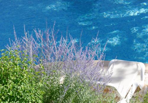 Φυσικό τοπίο κοντά σε αυτό το διαμέρισμα