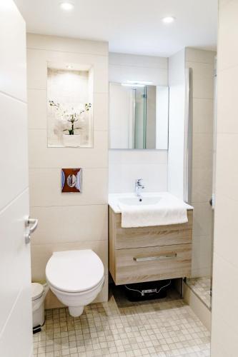 a bathroom with a toilet and a sink at Haus am See Luxury HS 947 in Hahnenklee-Bockswiese