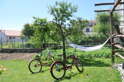 
a bicycle parked next to a fence in a yard at Nido Verde in Agerola
