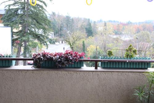 three potted plants on a ledge on a balcony at Tskaltubo Hotel Terrace in Tskaltubo
