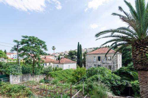 a palm tree in front of a house at Katarina Rooms in Dubrovnik