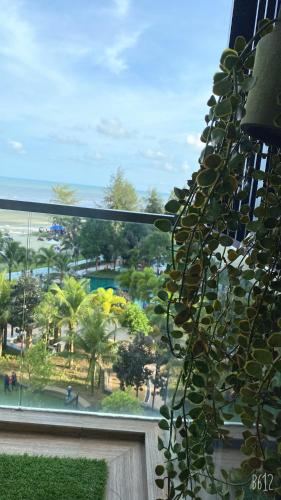a plant is growing in front of a window at The Jomvacay Place in Kuantan