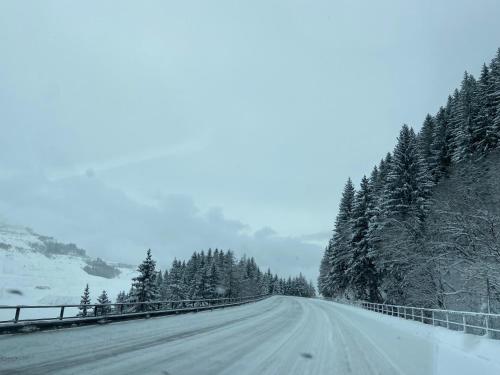 a snow covered road with trees on the side at Vordernberg Štýrské Alpy in Vordernberg