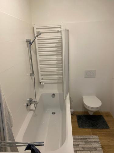 a bathroom with a shower and a toilet in it at Vordernberg Štýrské Alpy in Vordernberg