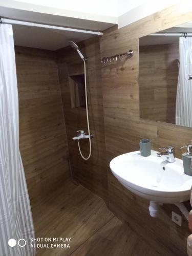 a bathroom with a sink and a shower at Gogol 14 Апартаменти в історичному центрі міста in Uzhhorod