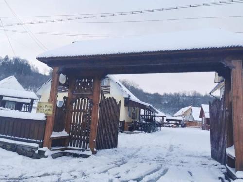 a village covered in snow with a gate at Casa Pintea de Sub Coastă in Breb