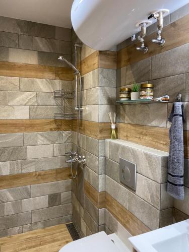 a bathroom with a shower and a toilet at Luxury private studio in Paradiso Verde in Bansko