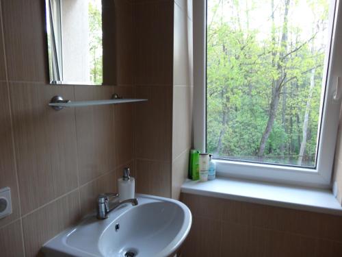 un bagno con lavandino e finestra di Poilsis prie Dineikos parko a Druskininkai