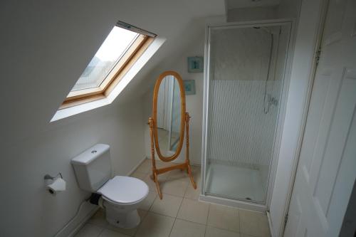 a bathroom with a toilet and a shower and a window at Common Farm Motel in Stafford