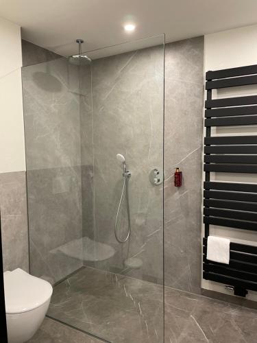 La salle de bains est pourvue d'une douche en verre et de toilettes. dans l'établissement Landhaus Bruckmann, à Saerbeck