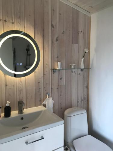 a bathroom with a sink and a toilet and a mirror at Backahusets B&B in Höör