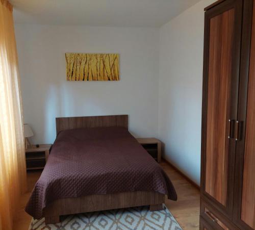 1 dormitorio con 1 cama y una pintura en la pared en Casa TEX en Buşteni